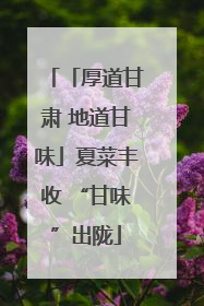 「厚道甘肃 地道甘味」夏菜丰收 “甘味”出陇