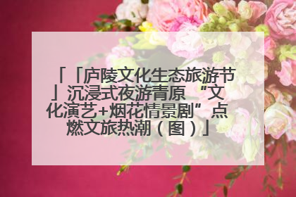 「庐陵文化生态旅游节」沉浸式夜游青原 “文化演艺+烟花情景剧”点燃文旅热潮（图）