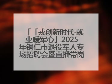 「戎创新时代·就业暖军心」2025年铜仁市退役军人专场招聘会暨直播带岗活动顺利举行