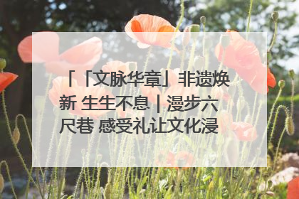 「文脉华章」非遗焕新 生生不息｜漫步六尺巷 感受礼让文化浸润的“巷”往生活
