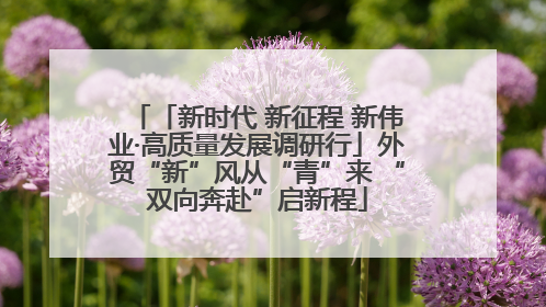 「新时代 新征程 新伟业·高质量发展调研行」外贸“新”风从“青”来 “双向奔赴”启新程