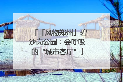 「风物郑州」碧沙岗公园：会呼吸的“城市客厅”