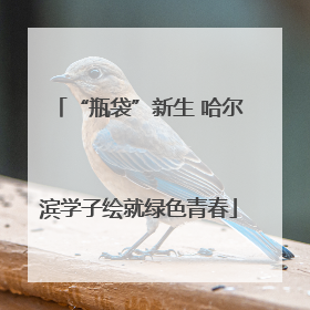 “瓶袋”新生 哈尔滨学子绘就绿色青春