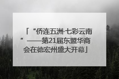 “侨连五洲·七彩云南”——第21届东盟华商会在德宏州盛大开幕