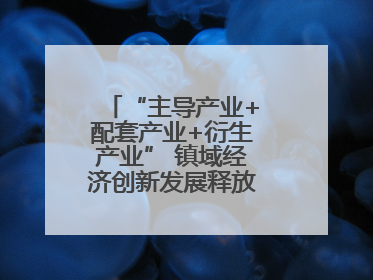 “主导产业+配套产业+衍生产业” 镇域经济创新发展释放强劲发展动能
