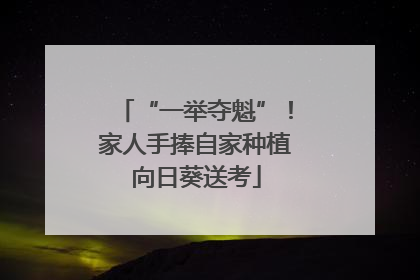 “一举夺魁”！家人手捧自家种植向日葵送考