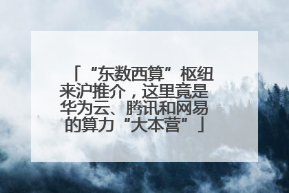 “东数西算”枢纽来沪推介，这里竟是华为云、腾讯和网易的算力“大本营”