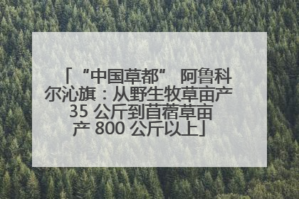 “中国草都” 阿鲁科尔沁旗：从野生牧草亩产 35 公斤到苜蓿草亩产 800 公斤以上