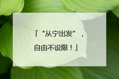 “从宁出发”，自由不设限！