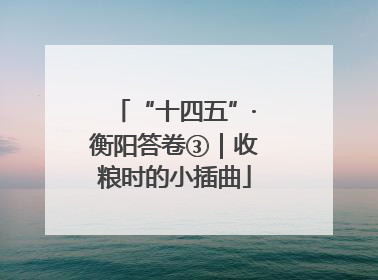 “十四五”·衡阳答卷③｜收粮时的小插曲