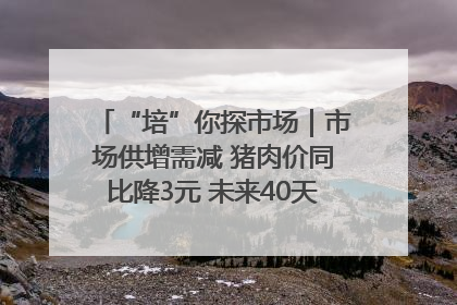 “培”你探市场｜市场供增需减 猪肉价同比降3元 未来40天便宜猪肉敞开吃