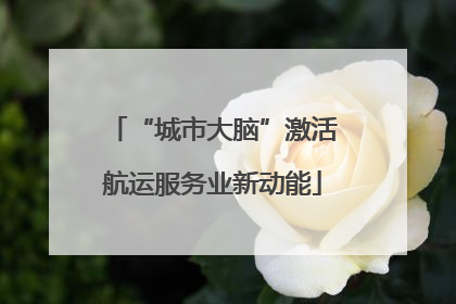“城市大脑”激活航运服务业新动能