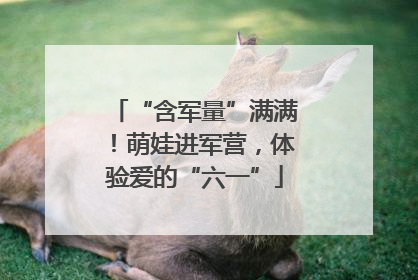 “含军量”满满！萌娃进军营，体验爱的“六一”