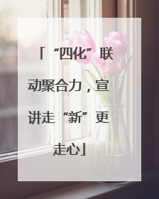 “四化”联动聚合力，宣讲走“新”更走心