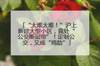 “太难太难！”沪上新建大型小区，竟处“公交断层带”！定制公交，又成“鸡肋”
