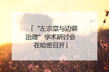 “左宗棠与边疆治理”学术研讨会在哈密召开