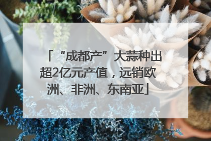 “成都产”大蒜种出超2亿元产值，远销欧洲、非洲、东南亚