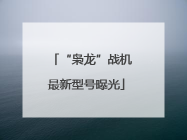 “枭龙”战机最新型号曝光