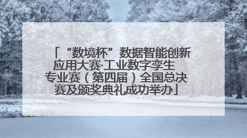 “数境杯”数据智能创新应用大赛·工业数字孪生 专业赛（第四届）全国总决赛及颁奖典礼成功举办