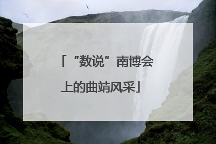 “数说”南博会上的曲靖风采