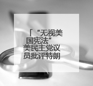 “无视美国宪法” 美民主党议员批评特朗普政府向洛杉矶派兵