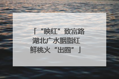 “映红”致富路 湖北广水胭脂红鲜桃火“出圈”
