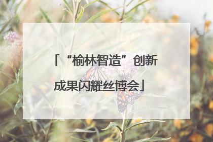“榆林智造”创新成果闪耀丝博会