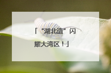 “湖北造”闪耀大湾区！