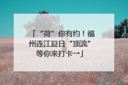 “荷”你有约！福州连江夏日“顶流”等你来打卡→