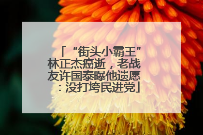 “街头小霸王”林正杰癌逝，老战友许国泰曝他遗愿：没打垮民进党