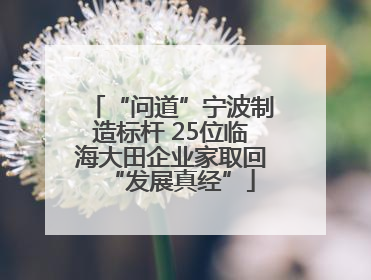 “问道”宁波制造标杆 25位临海大田企业家取回“发展真经”