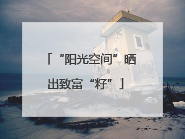 “阳光空间”晒出致富“籽”