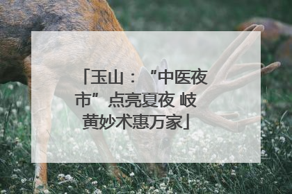 玉山：“中医夜市”点亮夏夜 岐黄妙术惠万家