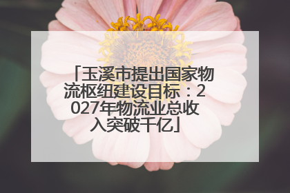 玉溪市提出国家物流枢纽建设目标：2027年物流业总收入突破千亿