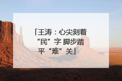 王涛：心尖刻着“民”字 脚步踏平“难”关
