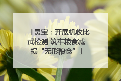 灵宝：开展机收比武检测 筑牢粮食减损“无形粮仓”