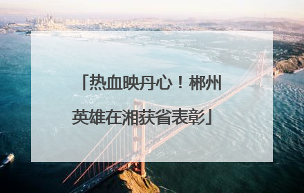 热血映丹心！郴州英雄在湘获省表彰