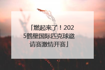 燃起来了！2025鹤壁国际匹克球邀请赛激情开赛