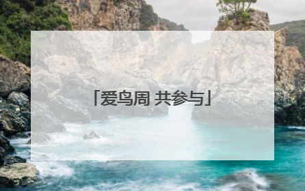 爱鸟周 共参与