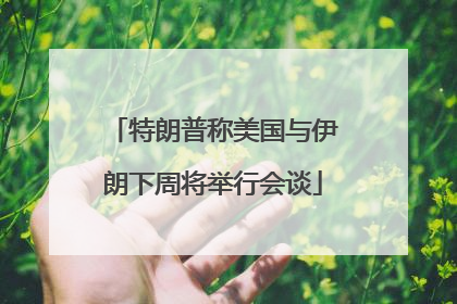 特朗普称美国与伊朗下周将举行会谈