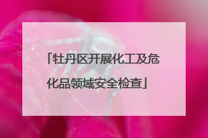 牡丹区开展化工及危化品领域安全检查
