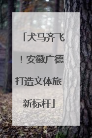 犬马齐飞！安徽广德打造文体旅新标杆