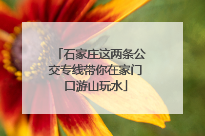 石家庄这两条公交专线带你在家门口游山玩水