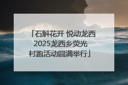石斛花开 悦动龙西 2025龙西乡荧光村跑活动圆满举行