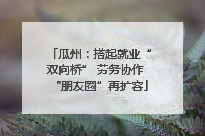 瓜州：搭起就业“双向桥” 劳务协作“朋友圈”再扩容