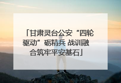 甘肃灵台公安“四轮驱动”砺精兵 战训融合筑牢平安基石