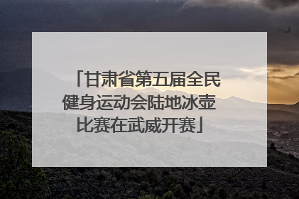 甘肃省第五届全民健身运动会陆地冰壶比赛在武威开赛