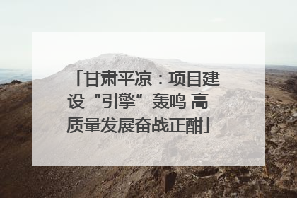 甘肃平凉：项目建设“引擎”轰鸣 高质量发展奋战正酣