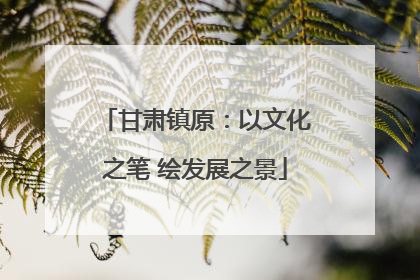 甘肃镇原：以文化之笔 绘发展之景