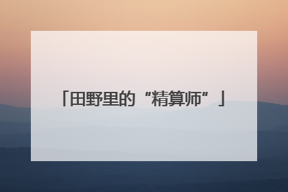 田野里的“精算师”